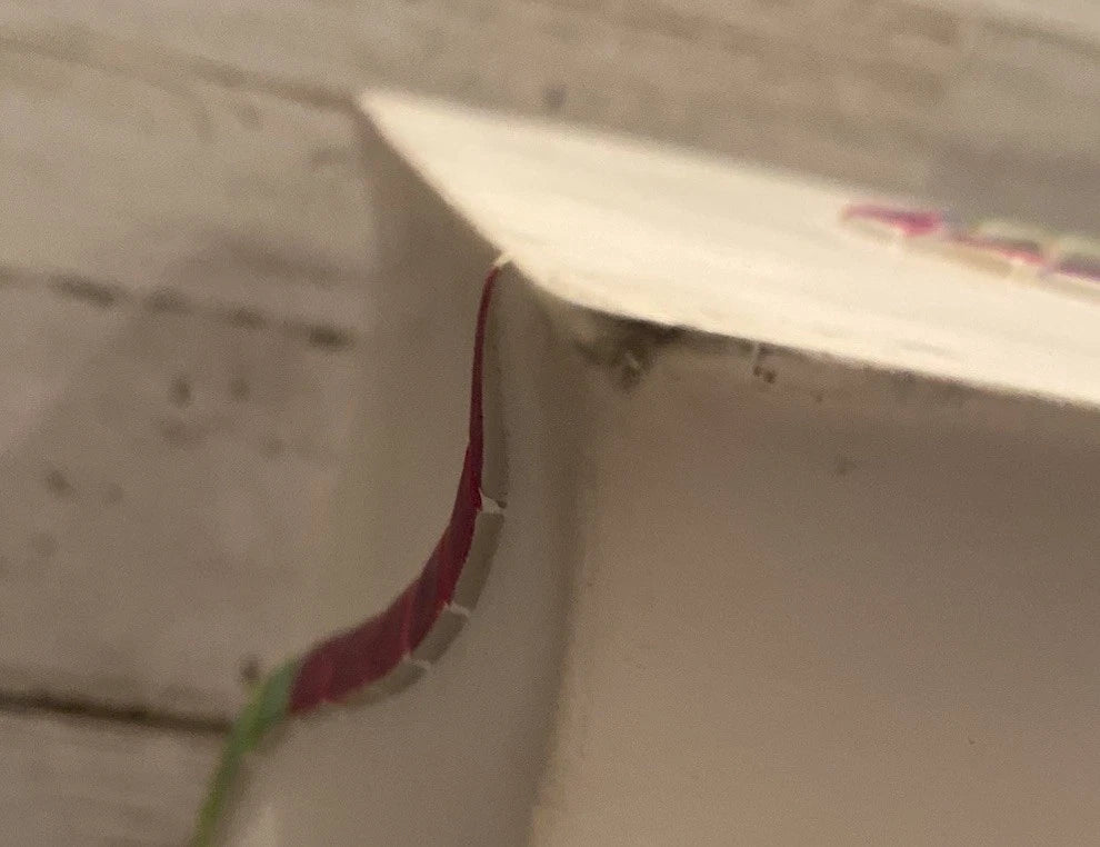 Expressions Fish Fantasy Ceramic Hand Painted Tissue Box | eBay