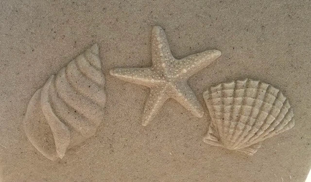 Heavy Resin Beige/Ivory Seashell Tropical/Beach 5.25" Tissue/Kleenex Box Cover | eBay