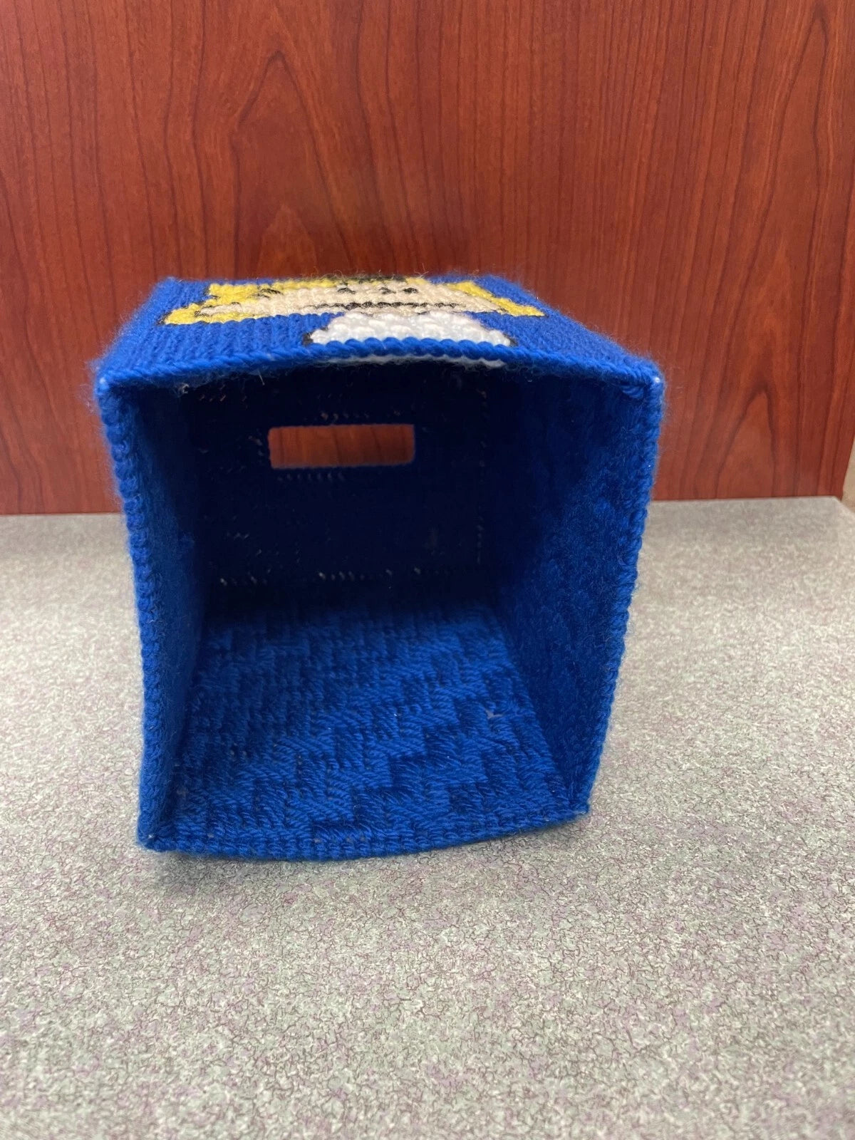 Peanuts Lucy Handmade 5.5" Plastic Canvas Tissue Box Holder Sewn Blue | eBay