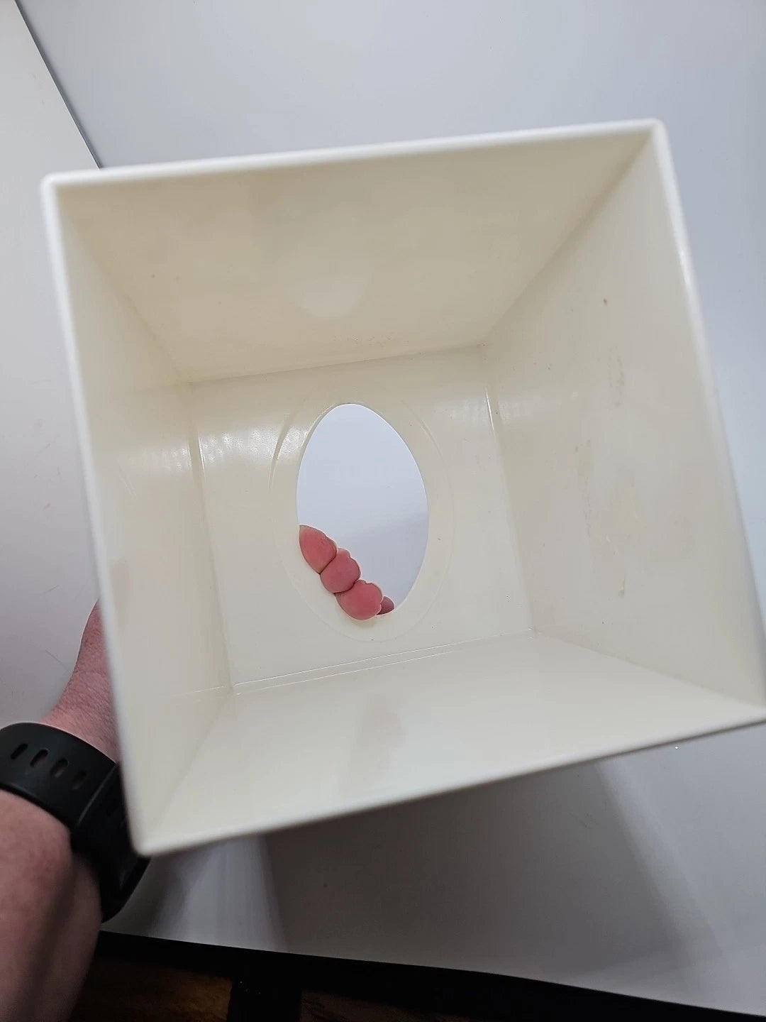 Vintage 80s JCPenney Pink Blue Seashell Acrylic Tissue Box Square | eBay